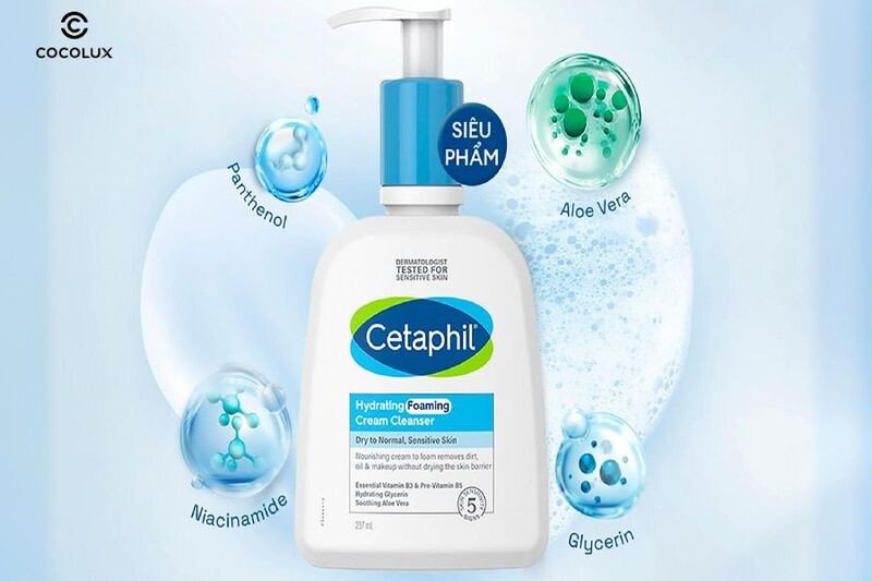 Bảng thành phần nổi bật của Sữa Rửa Mặt Cetaphil Hydrating Foaming Cream Cleanser