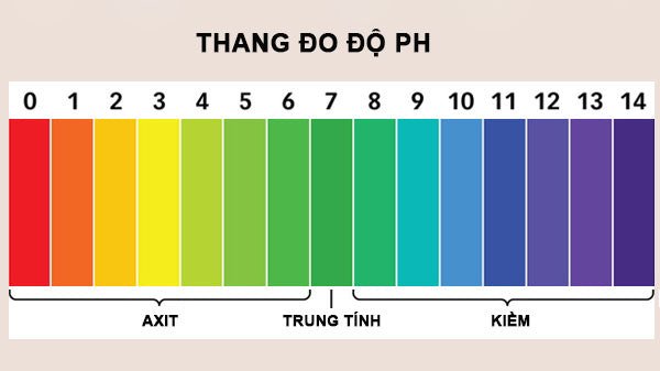 Biểu đồ độ pH và các sản phẩm sữa rửa mặt phù hợp với da dầu.