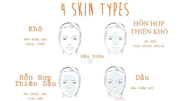 biểu đồ so sánh đặc điểm da hỗn hợp thiên dầu và thiên khô