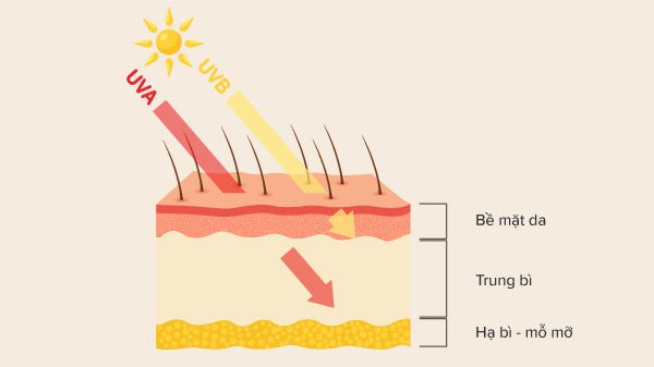 Biểu đồ thể hiện hiệu quả chống nắng giảm dần theo thời gian và yếu tố môi trường