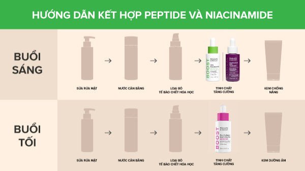 Các bước chăm sóc da với Peptide và Niacinamide kết hợp xen kẽ buổi sáng và buổi tối