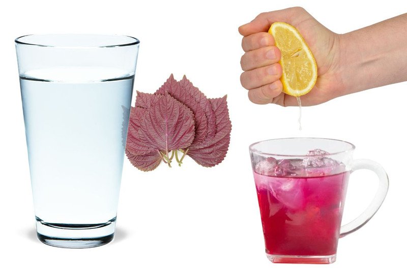 Các cách chế biến lá tía tô đa dạng theo bí quyết của người Nhật