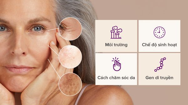Các yếu tố ảnh hưởng đến độ tuổi của da và cách khắc phục