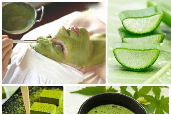 Công thức mặt nạ trà xanh nha đam dưỡng ẩm và trị mụn