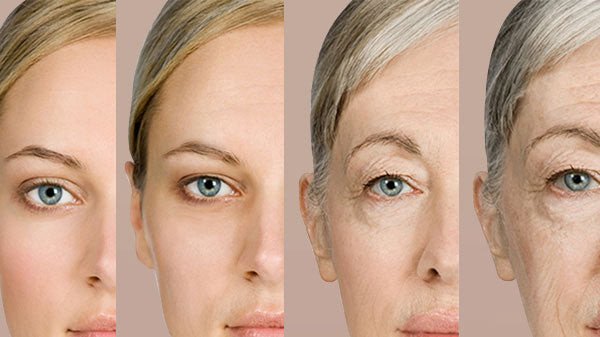 Đo độ tuổi của da qua mật độ collagen và độ đàn hồi