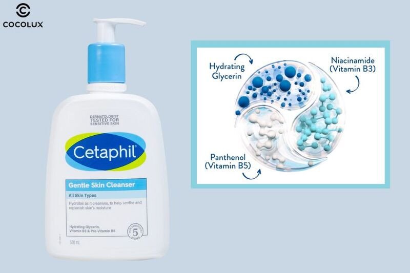 Hình ảnh các thành phần chính như Glycerin, Panthenol, Niacinamide có trong sữa rửa mặt Cetaphil Gentle Skin Cleanser