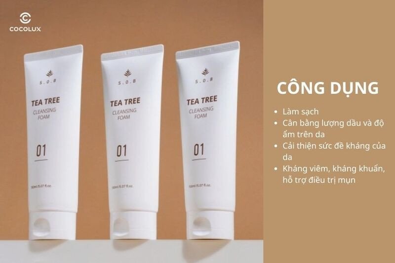 Hình ảnh minh họa các công dụng chính của sữa rửa mặt S.O.B Tea Tree Cleansing Foam