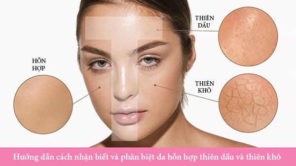 hình ảnh minh họa cách phân biệt da hỗn hợp thiên dầu và thiên khô