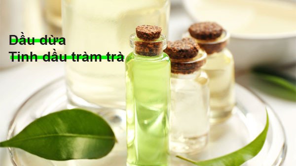 Hình ảnh tinh dầu tràm trà và dầu dừa, gợi ý công thức bôi dầu dừa lên mặt qua đêm cho da mụn