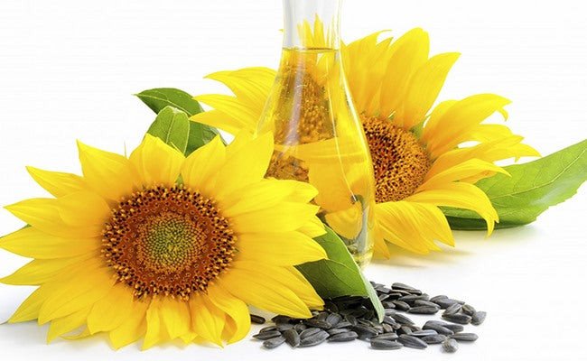 Hoa hướng dương rạng rỡ và hạt hướng dương, tượng trưng cho chiết xuất giàu vitamin E trong sữa rửa mặt