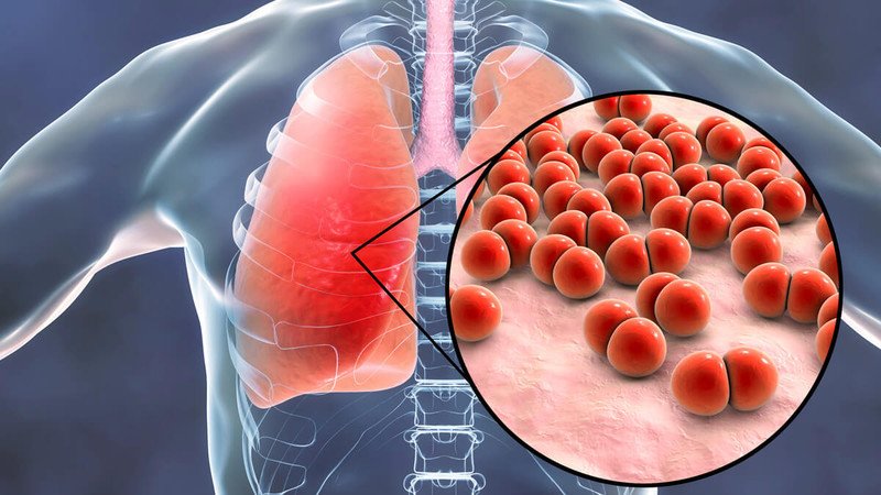 Lá rau đắng đất tươi xanh, biểu tượng cho khả năng chống viêm tự nhiên