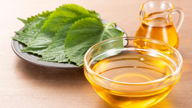 Lá tía tô tươi và nước lá tía tô nấu sẵn dùng để rửa mặt làm đẹp da