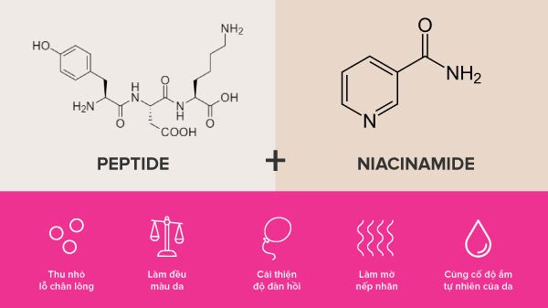 Lợi ích lý tưởng của Peptide và Niacinamide cho làn da