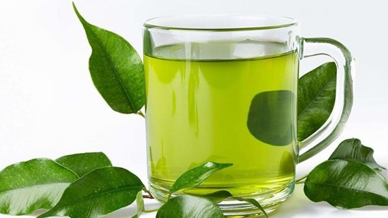 Lựa chọn trà xanh hay trà khô phù hợp với nhu cầu sử dụng
