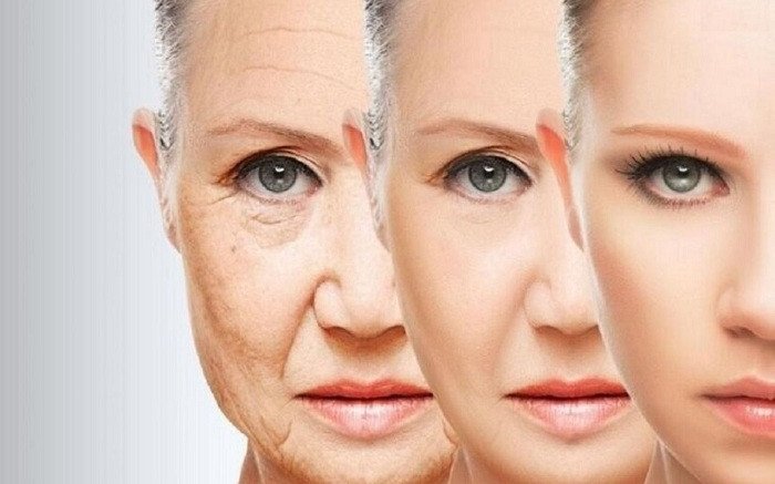 Mặt nạ bơ giúp dưỡng ẩm sâu và chống lão hóa hiệu quả