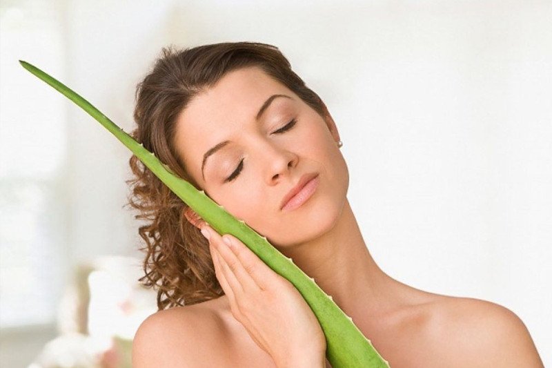 Mặt nạ nha đam giúp da được dưỡng ẩm