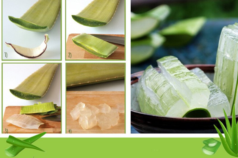 Nha đam cần được xử lý kỹ trước khi sử dụng