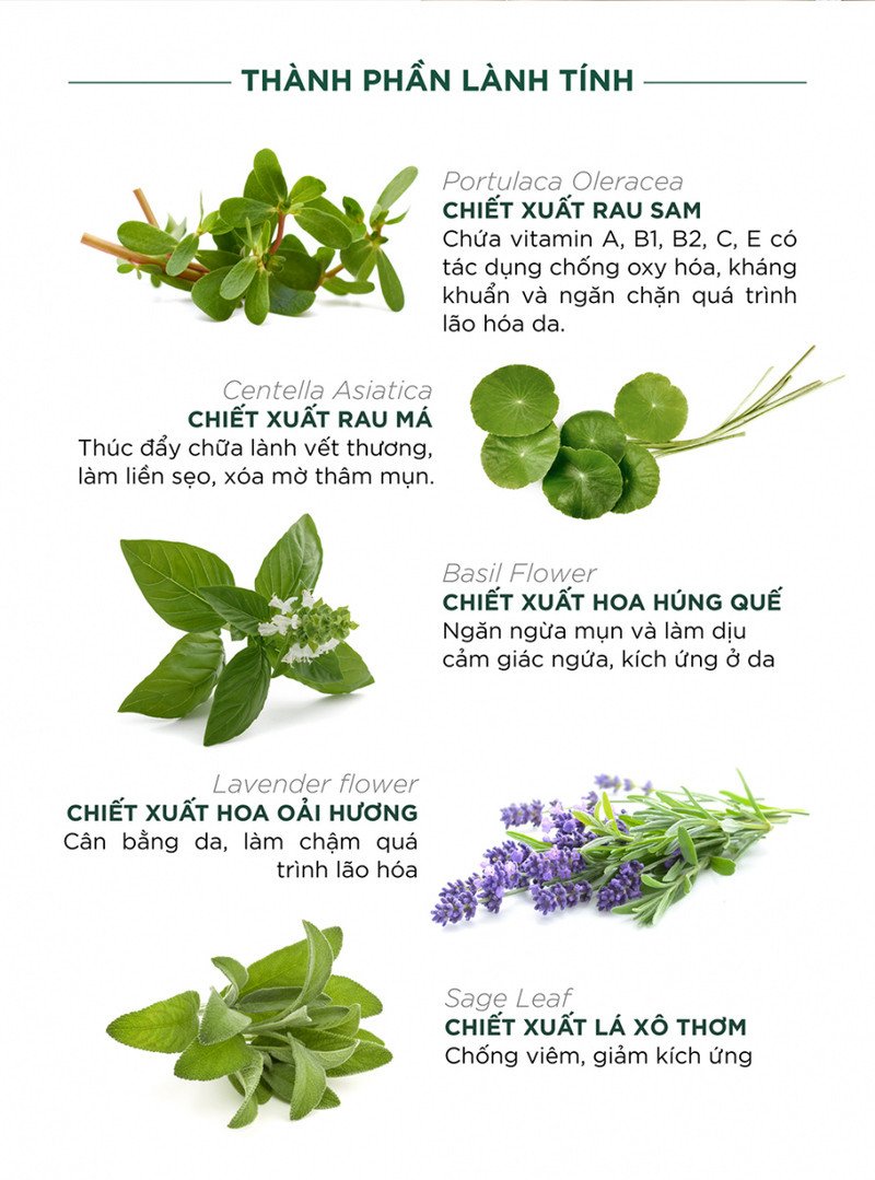 Sản phẩm sữa rửa mặt chứa các thành phần tự nhiên giúp giảm mụn và mờ thâm hiệu quả cho da