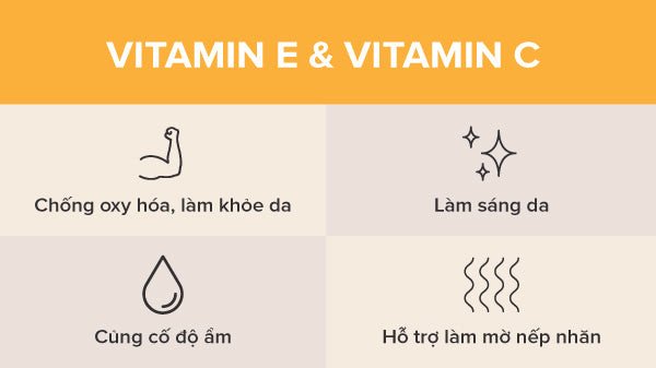 sự phối hợp lý tưởng khi kết hợp vitamin e và vitamin c