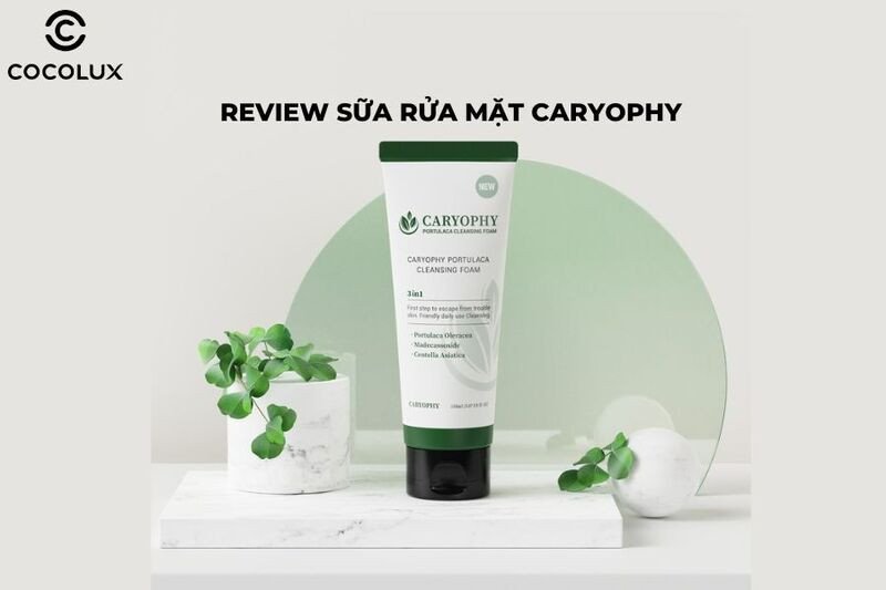 Sữa rửa mặt Caryophy Portulaca Cleansing Foam làm sạch sâu