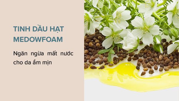 Sữa rửa mặt Omega giúp da ẩm mịn