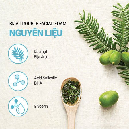Sữa rửa mặt trị mụn Innisfree Bija Trouble Facial Foam giúp làm sạch sâu và dịu da mụn