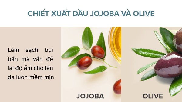 Tác dụng của Omega 3-6-9 với làn da