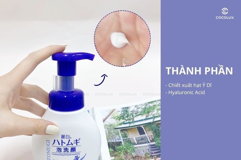 Thành phần chính của bọt rửa mặt Hatomugi Ý Dĩ