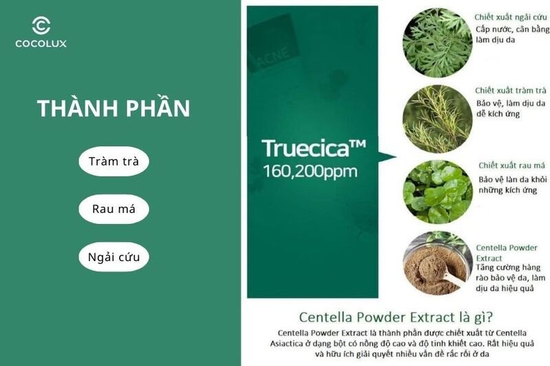Thành phần tự nhiên nổi bật của sữa rửa mặt Some By Mi Acne phù hợp da mụn