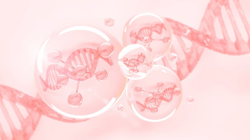 Vitamin B5 hỗ trợ chống lão hóa da và tăng đàn hồi