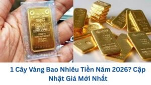 1-cay-vang-bao-nhieu-tien