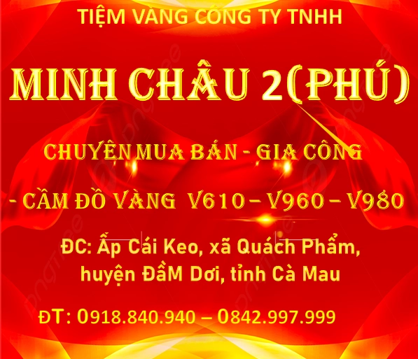 Giá Vàng Cà Mau Hôm Nay: Cập Nhật Mới Nhất 2026 Biểu đồ biến động giá vàng tại Cà Mau