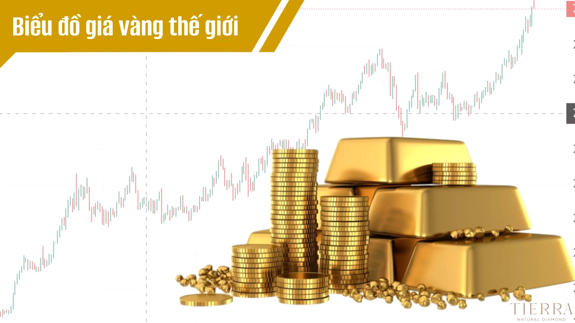 Giá vàng thế giới trực tuyến: Cập nhật và phân tích 2026 Biểu đồ cập nhật giá vàng thế giới