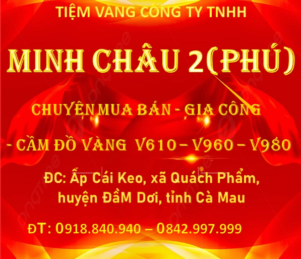 Giá Vàng Hôm Nay Cà Mau: Dự Báo Xu Hướng 2026 & Phân Tích Chi Tiết Biểu đồ giá vàng so sánh