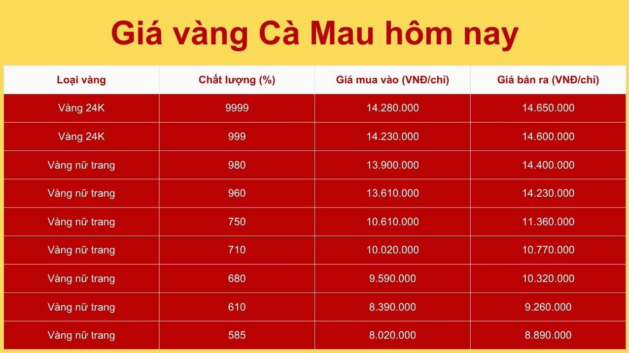 Cập nhật Giá Vàng Hội Kim Hoàn Cà Mau 2026: Phân tích Chuyên sâu Biểu đồ giá vàng tham khảo tại Cà Mau
