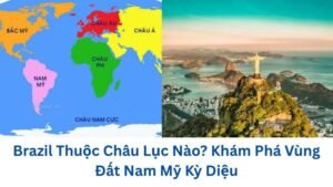 brazil-thuoc-chau-luc-nao