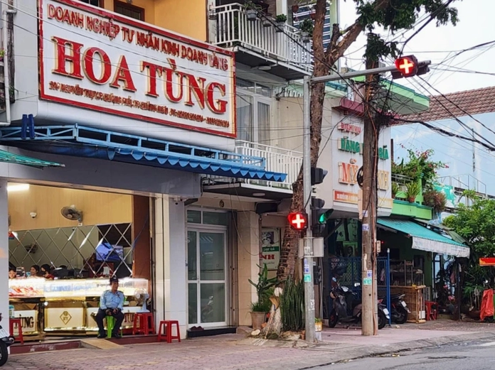 Vàng Hoa Tùng: Bí Ẩn Về Loại Cây Cảnh Quý Hiếm và Giá Trị Cây Vàng Hoa Tùng với tán lá màu vàng rực rỡ