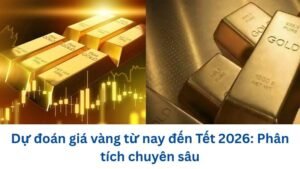 du-doan-gia-vang-tu-nay-den-tet