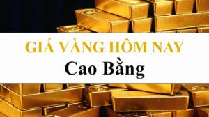 gia-vang-9999-hom-nay-tai-cao-bang-cap-nhat-phan-tich-2026_318