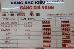 gia-vang-hom-nay-tai-ha-tinh-du-bao-phan-tich-chi-tiet-2026_625