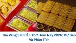 gia-vang-mieng-sjc-can-tho-hom-nay