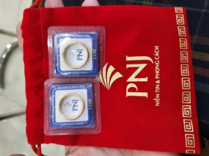 gia-vang-nhan-pnj-2026-du-bao-va-phan-tich-chi-tiet_981