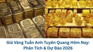 gia-vang-tuan-anh-tuyen-quang-hom-nay