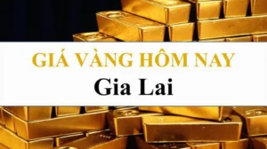 gia-vang-vinh-thanh-gia-lai-hom-nay-2026-du-bao-xu-huong_195
