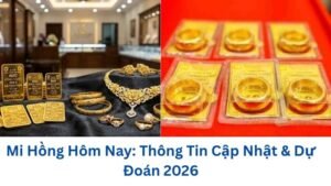 mi-hong-hom-nay