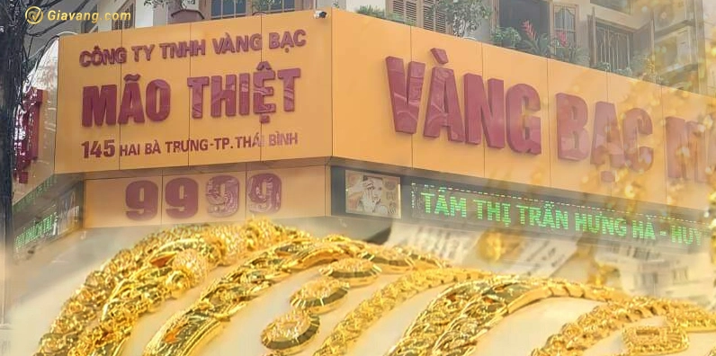 Vàng Mão Thiệt Thái Bình Giá Bao Nhiêu 1 Chỉ Năm 2026? So sánh giá vàng 24K và các loại vàng khác